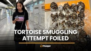 Taiwanese woman caught with 30 tortoises on body at airport | Thaiger