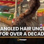 Woman’s metre-long tangled hair turns heads in Ang Thong | Thaiger