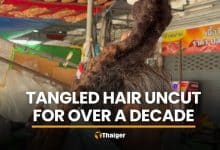 Woman’s metre-long tangled hair turns heads in Ang Thong | Thaiger