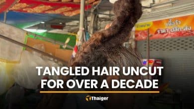 Woman’s metre-long tangled hair turns heads in Ang Thong | Thaiger