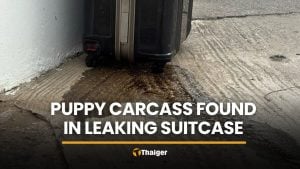 Police open leaking suitcase in Pathum Thani, find puppy remains | Thaiger