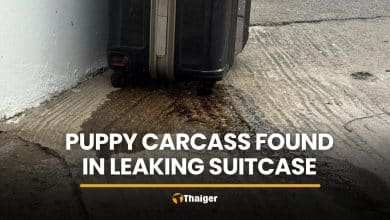 Police open leaking suitcase in Pathum Thani, find puppy remains | Thaiger