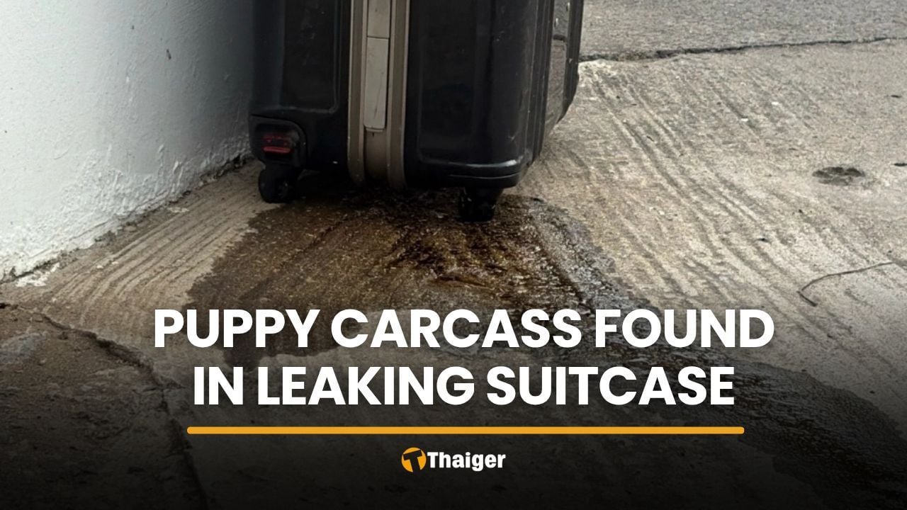Police open leaking suitcase in Pathum Thani, find puppy remains | Thaiger