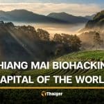 A new study just named Chiang Mai the world’s top biohacking destination and it is not even close | Thaiger