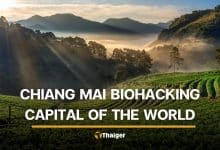 A new study just named Chiang Mai the world’s top biohacking destination and it is not even close | Thaiger