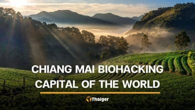 A new study just named Chiang Mai the world’s top biohacking destination and it is not even close | Thaiger
