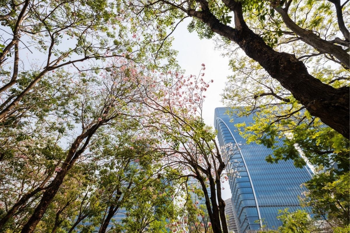Budget-friendly Bangkok rentals near MRT Blue Line for remote workers | News by Thaiger