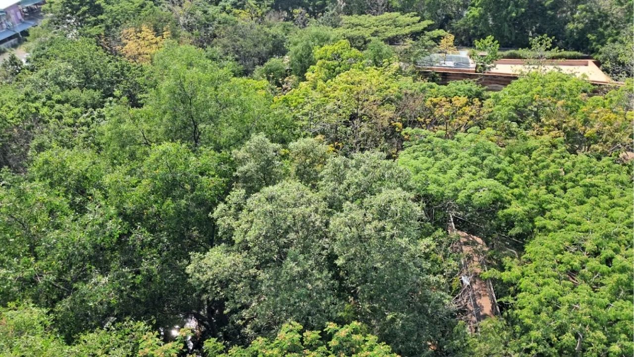 5 things to do in Bangkok this weekend (May 22 to 24) | News by Thaiger