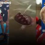 Thailand News | Brit Arrested After Hit and run, Sea Turtle Photo Backlash, Ex-F1 Injured in Bangkok | Thaiger