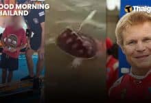 Thailand News | Brit Arrested After Hit and run, Sea Turtle Photo Backlash, Ex-F1 Injured in Bangkok | Thaiger