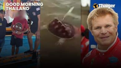 Thailand News | Brit Arrested After Hit and run, Sea Turtle Photo Backlash, Ex-F1 Injured in Bangkok | Thaiger