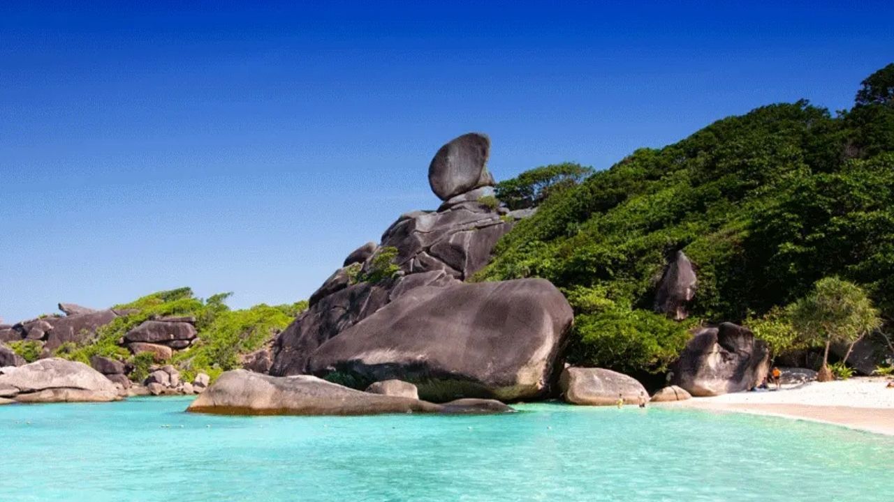 Donald Duck Rock Thailand