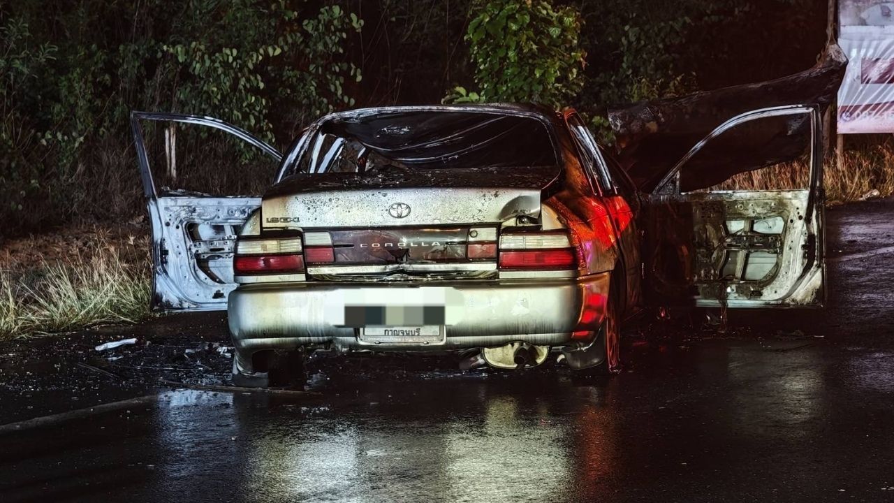 Car hits elephants in Kanchanaburi and bursts into flames