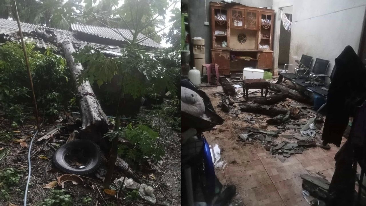 Tree collapses on house in Krabi