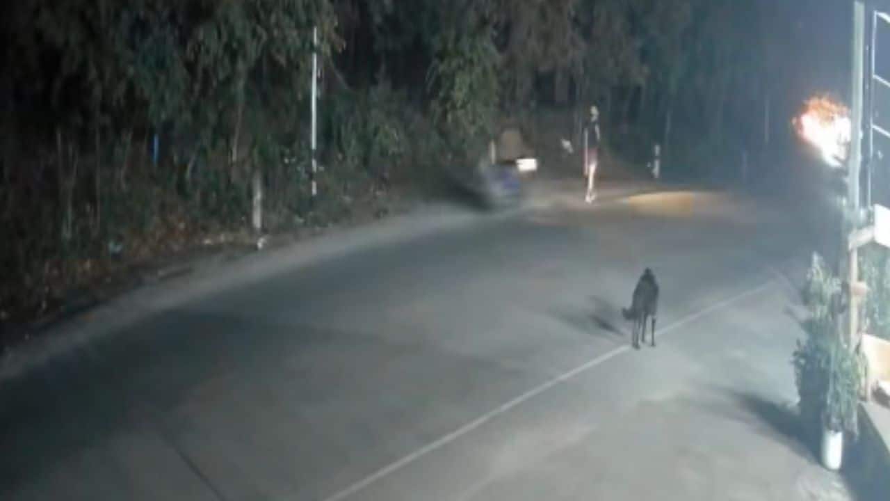 Foreign motorcyclist hits Thai doctor and escape