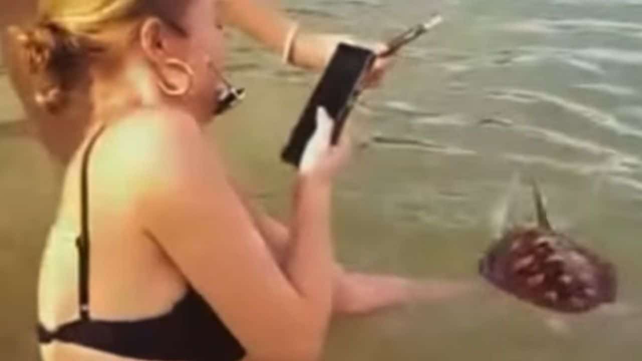 Taking photos with turtle in Phuket