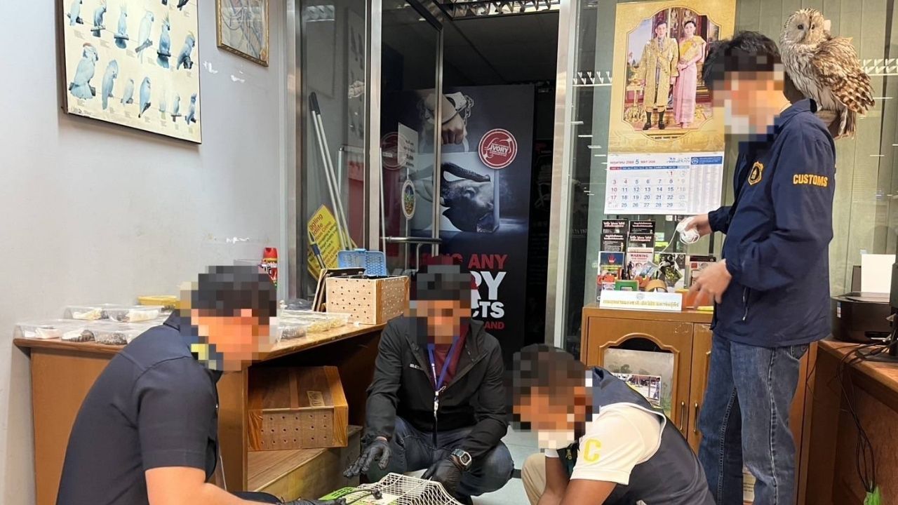Malaysian attempts to smuggle live animals out of Thailand