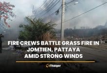 Fire crews battle grass fire in Jomtien, Pattaya amid strong winds | Thaiger
