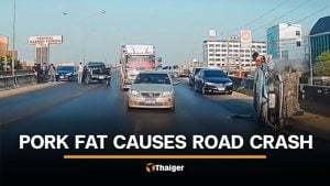 Pork fat spill leaves 5 cars sliding and crashing on Nakhon Pathom bridge | Thaiger