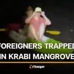 Foreign couple rescued from Krabi mangrove after allegedly ignoring safety warning | Thaiger