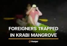 Foreign couple rescued from Krabi mangrove after allegedly ignoring safety warning | Thaiger