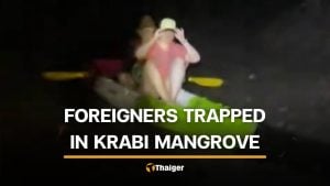 Foreign couple rescued from Krabi mangrove after allegedly ignoring safety warning | Thaiger