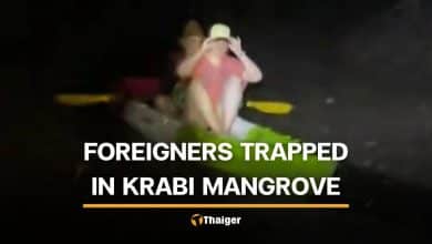 Foreign couple rescued from Krabi mangrove after allegedly ignoring safety warning | Thaiger