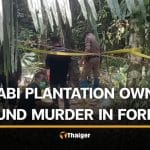 Krabi police hunt suspect after missing plantation owner found dead | Thaiger