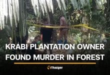 Krabi police hunt suspect after missing plantation owner found dead | Thaiger