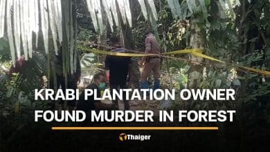 Krabi police hunt suspect after missing plantation owner found dead | Thaiger