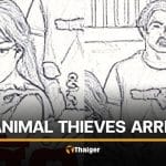 Thai couple arrested for stealing animals from 2 Bangkok zoos | Thaiger
