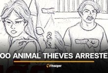 Thai couple arrested for stealing animals from 2 Bangkok zoos | Thaiger