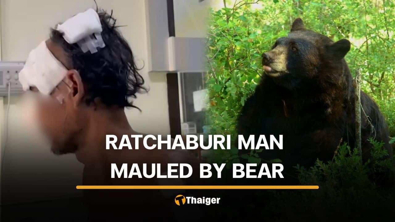 Bear mauls Thai man while collecting food ingredients in Ratchaburi forest | Thaiger