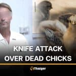 Sisaket man attacks Swedish relative with knife over chick deaths | Thaiger