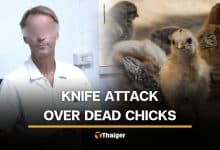 Sisaket man attacks Swedish relative with knife over chick deaths | Thaiger