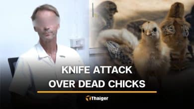 Sisaket man attacks Swedish relative with knife over chick deaths | Thaiger