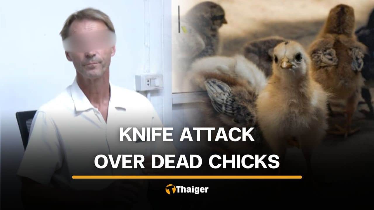 Sisaket man attacks Swedish relative with knife over chick deaths | Thaiger