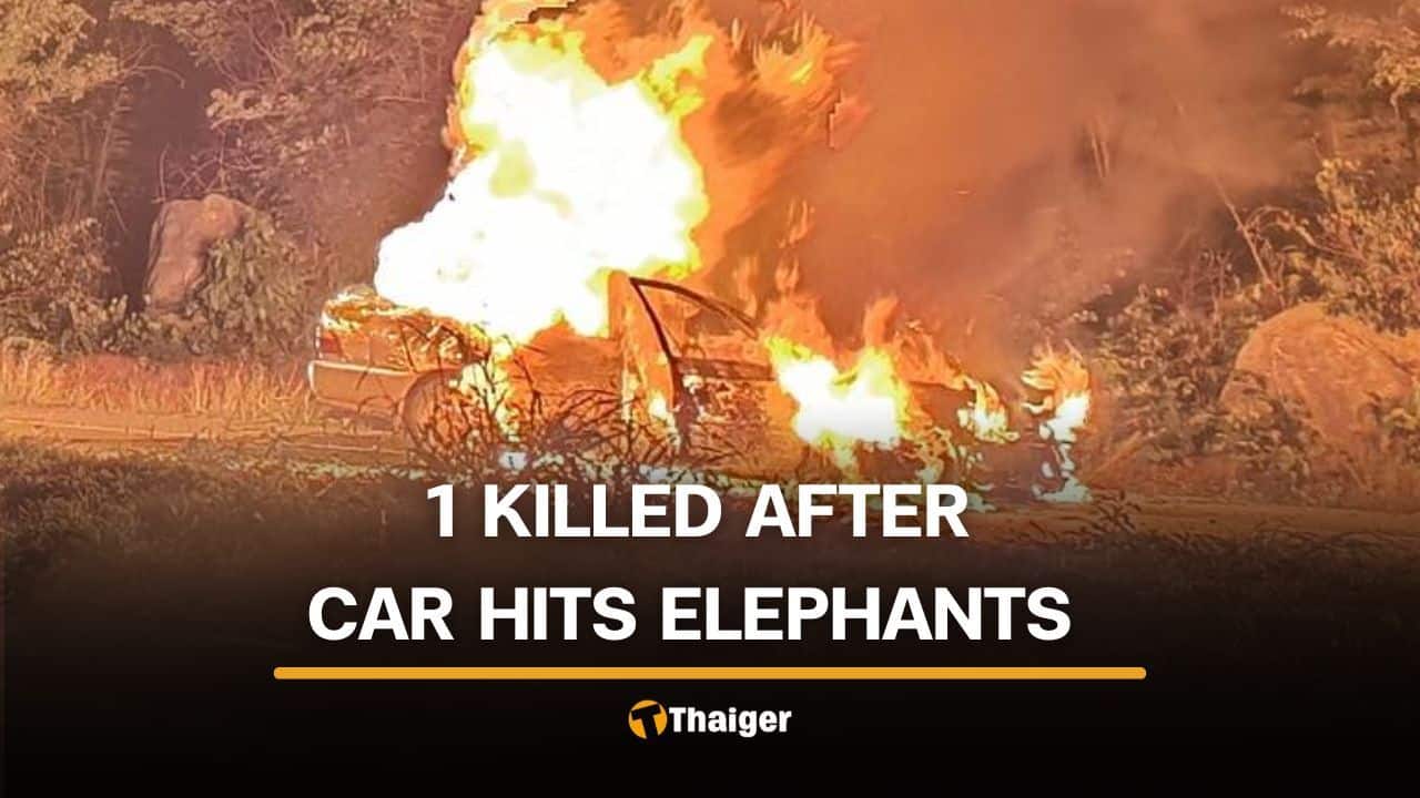 Kanchanaburi man killed after car crashes into wild elephants | Thaiger