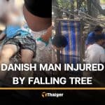 Danish jogger injured by falling tree branch on Rayong Beach | Thaiger