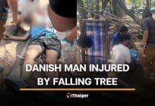 Danish jogger injured by falling tree branch on Rayong Beach | Thaiger