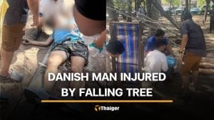 Danish jogger injured by falling tree branch on Rayong Beach | Thaiger