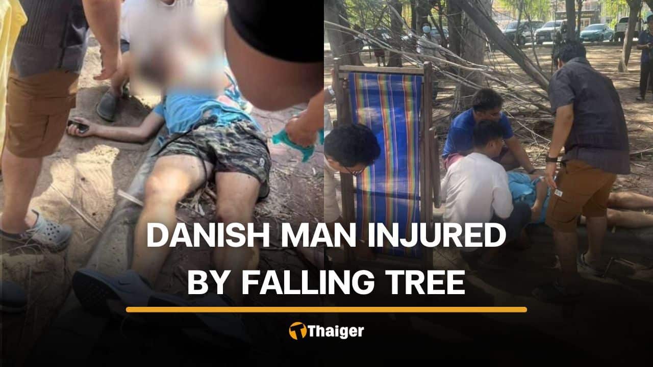 Danish jogger injured by falling tree branch on Rayong Beach | Thaiger