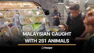 251 live wild animals found hidden in suitcase of Malaysian man | Thaiger
