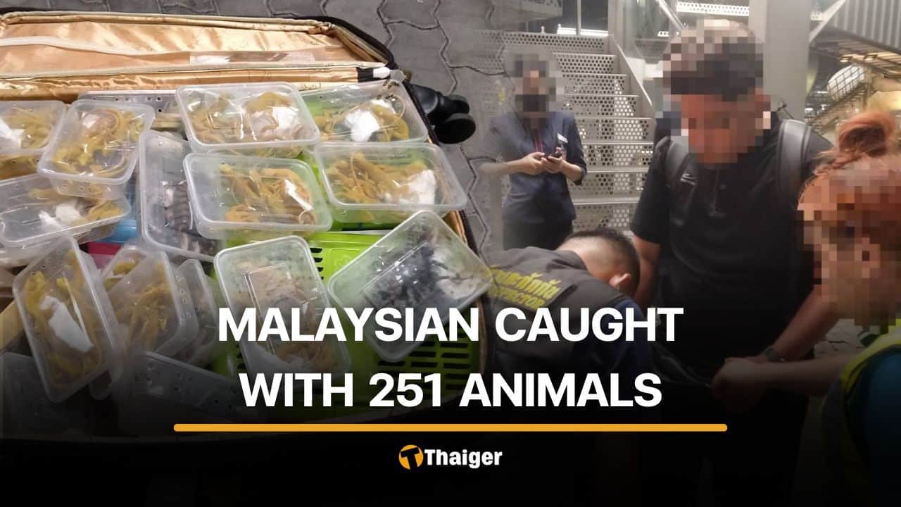 251 live wild animals found hidden in suitcase of Malaysian man | Thaiger