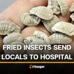 12 officials in Lampang hospitalised after eating insects | Thaiger