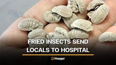 12 officials in Lampang hospitalised after eating insects | Thaiger