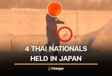 Thai workers in Japan to face deportation for illegal lobster poaching | Thaiger