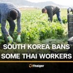 South Korean temporarily restricts Thai workers from 4 provinces in Isaan | Thaiger