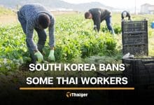 South Korean temporarily restricts Thai workers from 4 provinces in Isaan | Thaiger