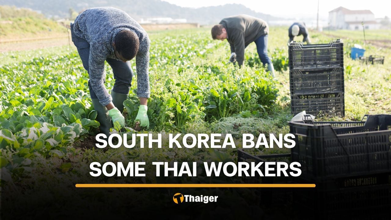 South Korean temporarily restricts Thai workers from 4 provinces in Isaan | Thaiger